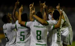 Chapecoense giành chiến thắng lịch sử tại Copa Libertadores