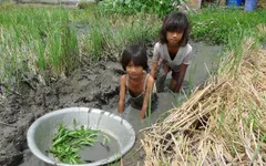 Thương 3 chị em mồ côi quần áo rách bươm, chạy ăn từng bữa