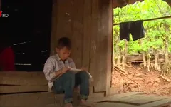 Cậu học trò nghèo muốn bỏ học đi làm nương phụ mẹ