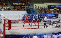 Khai mạc giải vô địch Boxing trẻ toàn quốc năm 2017
