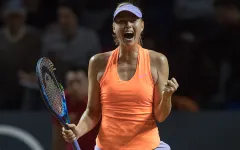 Vòng 2 Stuttgart mở rộng: Vượt qua Makarova, Sharapova trở lại top 400 thế giới