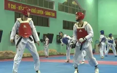ĐT Taekwondo Việt Nam hướng tới giải vô địch Đông Nam Á