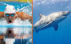 Michael Phelps so tài bơi lội với cá mập