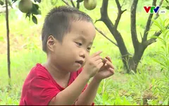 Cuộc sống của em Hoàng bước sang trang mới sau 3 ca mổ tim