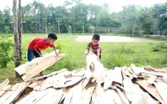 Không có bố, mẹ bỏ rơi, bé lớp 4 sống khốn khó bên người mợ ruột