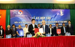 Liên đoàn Bóng đá Việt Nam (VFF) và Liên đoàn Bóng đá Hàn Quốc (KFA) ký kết thoả thuận hợp tác
