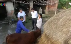 Cả nước chung tay vì người nghèo