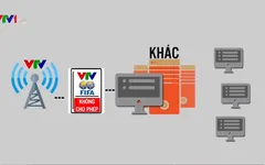 Những nguy hại khi vi phạm bản quyền World Cup 2018
