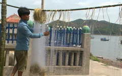 Hỗ trợ ngư dân từng bước vượt khó sau tai nạn biển