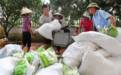 Hỗ trợ người dân tỉnh Lai Châu gặp thiên tai 620 tấn gạo