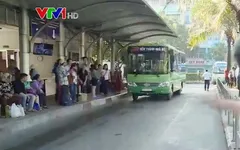 Những chuyến xe bus chở… nghĩa tình
