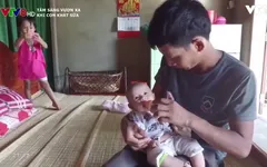 Xót thương cảnh con thơ khát sữa mẹ