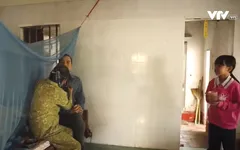 Cặp lá yêu thương: Màu hy vọng
