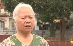 Cụ bà 19 năm cần mẫn dọn rác bảo vệ môi trường