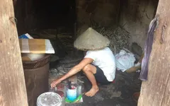 Nghẹn lòng cảnh cụ bà tuổi 80 đội nắng bắt cua nuôi con trai 2 lần thoát khỏi tử thần