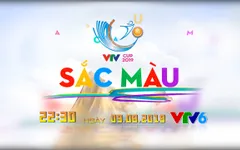 Chương trình đặc biệt: Sắc màu VTV Cup 2019 (22h30 ngày 9/8, trên VTV6)
