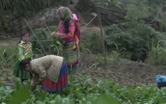 Xót xa hoàn cảnh của cô bé dân tộc nhút nhát