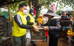 Gia súc, gia cầm là mầm cuộc sống