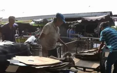 Cặp lá yêu thương: Cần bao lâu để trưởng thành?