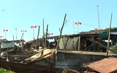 Những tuabin gió hạnh phúc ở bãi giữa sông Hồng