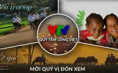 Bản tin Quỹ Tấm lòng Việt tuần 4 tháng 11/2021