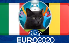 Mèo tiên tri dự đoán kết quả trận ĐT Bỉ - ĐT Italia