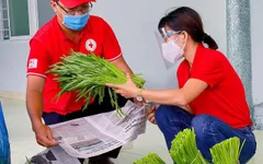 Hội Chữ thập Đỏ Việt Nam tiếp tục kêu gọi ủng hộ phòng, chống dịch COVID-19