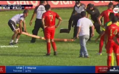 Hy hữu | Trận đấu bị gián đoạn vì có rắn trên sân