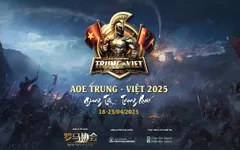 AoE Việt Nam làm nên lịch sử