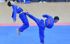 TP Hồ Chí Minh giành ngôi đầu toàn đoàn ở Giải vô địch Vovinam quốc gia 2025