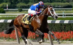 Những kỷ lục về giá trị của các chú ngựa đua trên thế giới