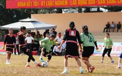 Những “bông hoa” đại ngàn hội tụ tại Cup VTV5 2026