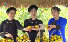 Sắc hồng biên cương: Mở hướng làm giàu từ vườn quả