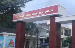 Cô giáo véo tai, 'vỗ' lưng học sinh lớp 1 đến thâm tím