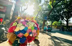 "Check-in" Hà Nội mùa thu: Những góc nhỏ làm say đắm lòng người