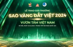 Đón xem Lễ trao Giải thưởng Sao Vàng đất Việt 2024