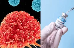 Nga tiết lộ lịch trình phát hành vaccine ung thư