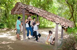 Địa đạo Củ Chi: Nơi lịch sử sống lại với những trải nghiệm hấp dẫn