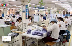 Thách thức đảm bảo an toàn lao động với các hiệp định FTA thế hệ mới