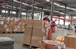 Mỹ không miễn thuế với hàng giá trị thấp Trung Quốc