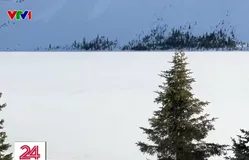 Trải nghiệm tuyến đường đẹp nhất Canada