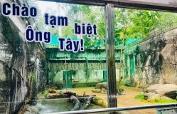 Xúc động lễ chia tay “ông” hổ Tây ở Thảo Cầm Viên Sài Gòn