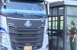 Xuất khẩu hàng nông sản qua cửa khẩu Lào Cai đạt 160 triệu USD