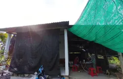 Bệnh nhi tim bẩm sinh 16 tuổi đang chờ sự giúp đỡ
