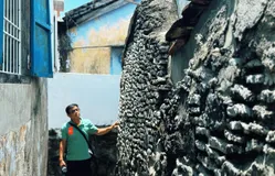 Độc đáo nhà san hô
