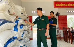 Bình Định: Thu giữ gần 4 tấn đường không có giấy tờ hợp pháp