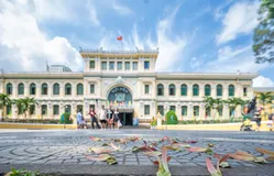 Mùa hoa dầu bay - ký ức trên những con đường Sài Gòn xưa