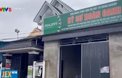 Hàng chục hecta lúa vụ chiêm xuân "mất trắng" ở Thanh Hóa