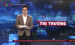 Kinh doanh Thị trường - 04/9/2024