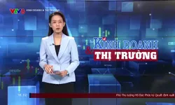 Kinh doanh Thị trường - 11/9/2024